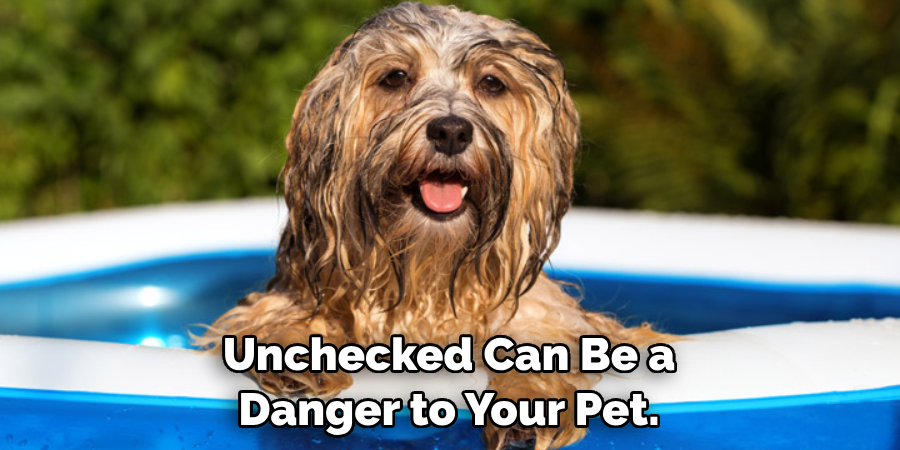 Unchecked Can Be a Danger to Your Pet