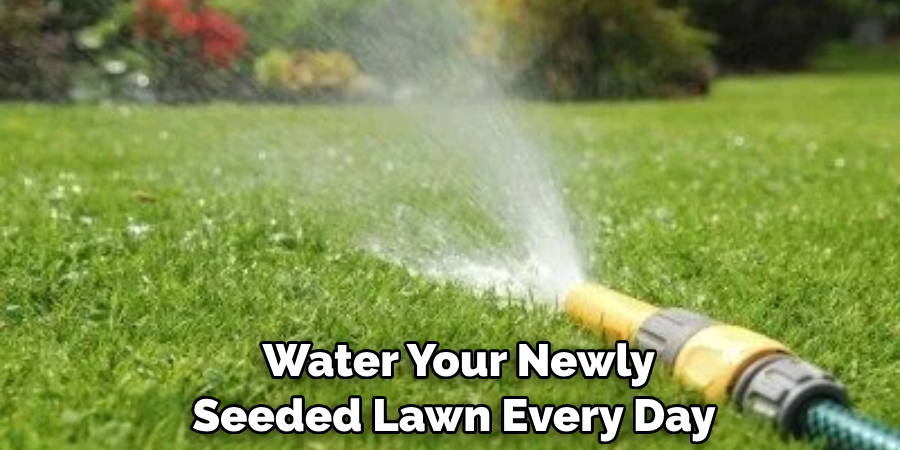     Water Your Newly 
Seeded Lawn Every Day