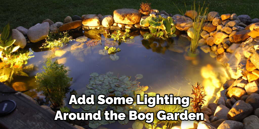 Add Some Lighting Around the Bog Garden