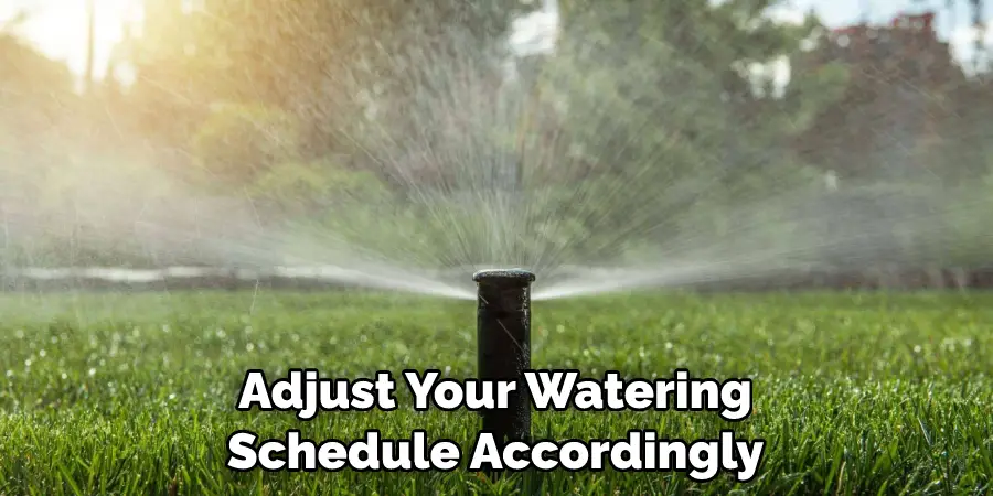 Adjust Your Watering Schedule Accordingly