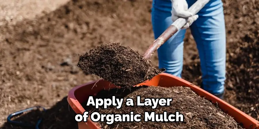 Apply a Layer of Organic Mulch