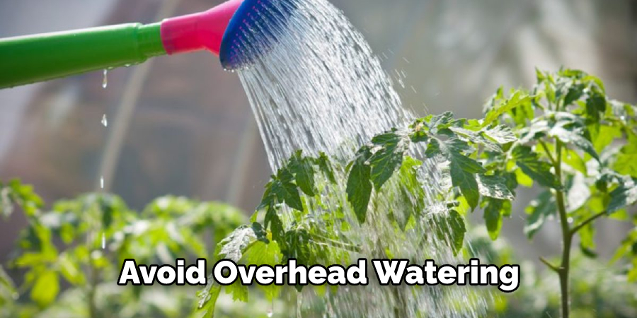 Avoid Overhead Watering