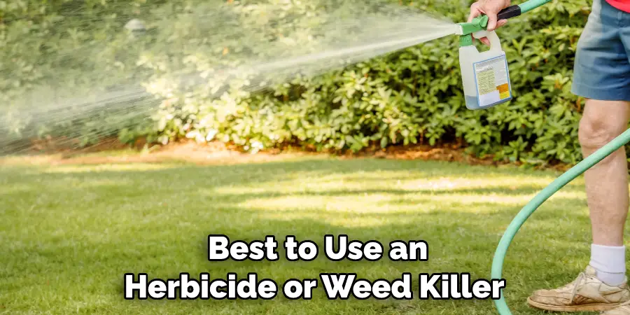 Best to Use an Herbicide or Weed Killer