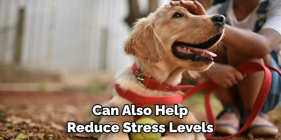 Can Also Help Reduce Stress Levels