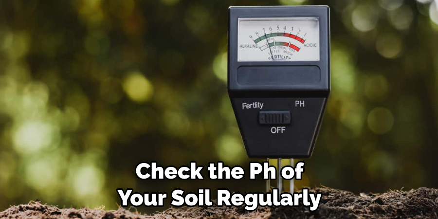 Check the Ph of Your Soil Regularly