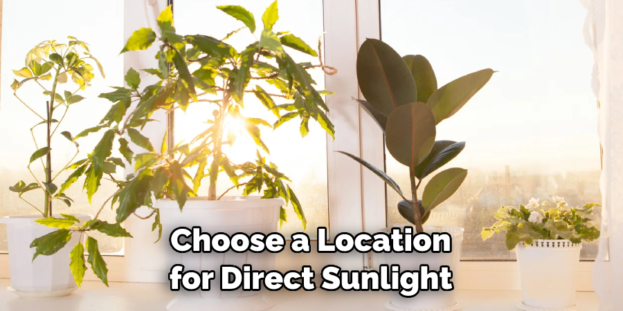 Choose a Location for Direct Sunlight