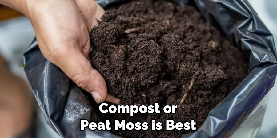 Compost or Peat Moss is Best