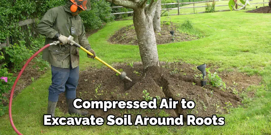 Compressed Air to Excavate Soil Around Roots