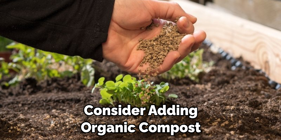Consider Adding Organic Compost