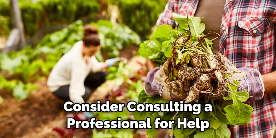 Consider Consulting a Professional for Help