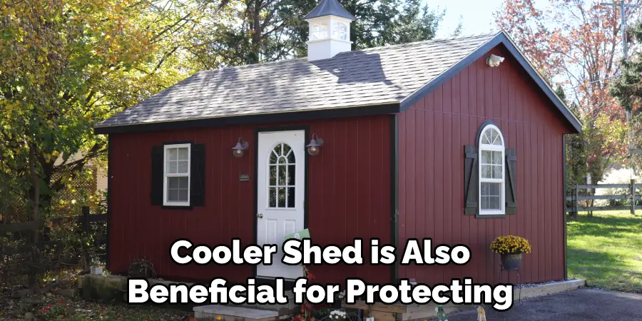 Cooler Shed is Also Beneficial for Protecting