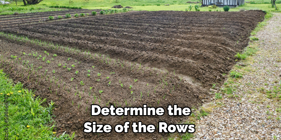 Determine the Size of the Rows 