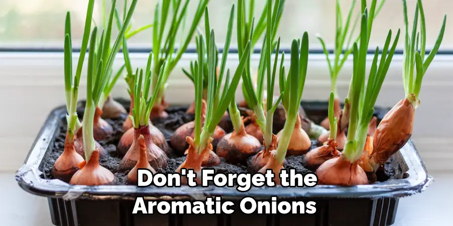 Don't Forget the Aromatic Onions 
