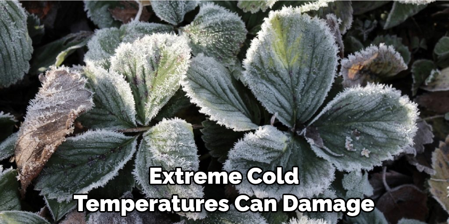 Extreme Cold Temperatures Can Damage