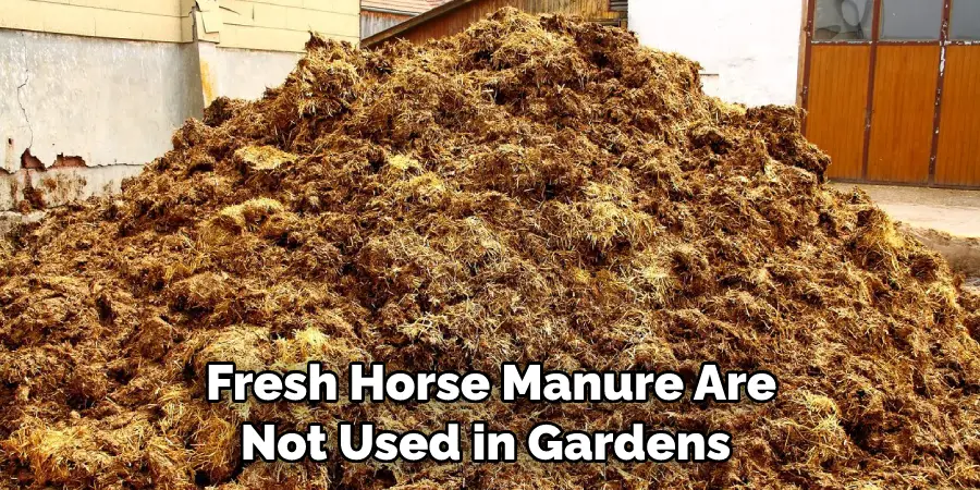 Fresh Horse Manure Are Not Used in Gardens 