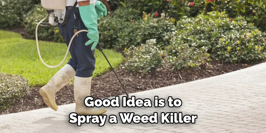Good Idea is to Spray a Weed Killer