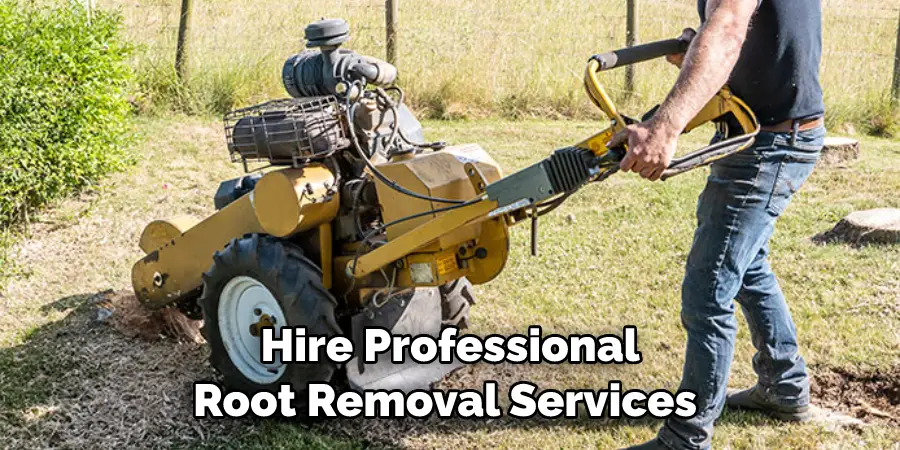Hire Professional Root Removal Services