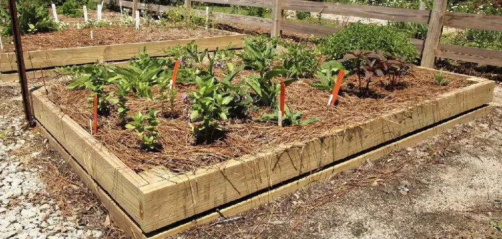 How to Layer a Garden Bed