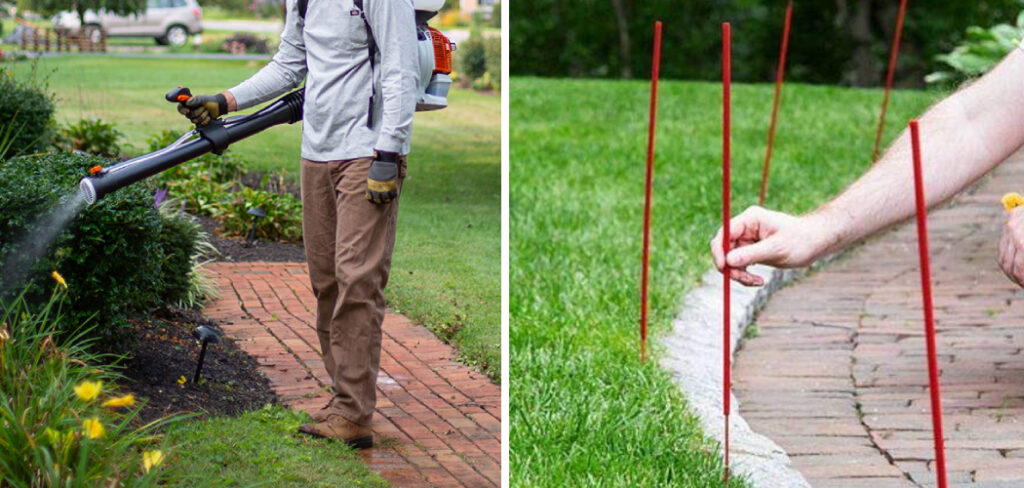 How to Mosquito Proof Your Yard