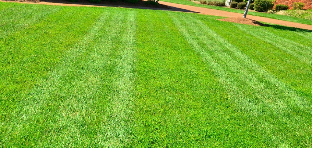 How to Stripe a Yard