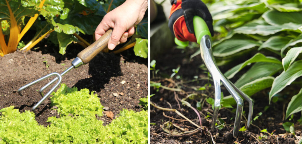 How to Use a Hand Cultivator