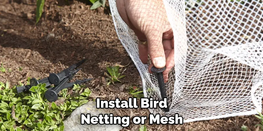 Install Bird Netting or Mesh