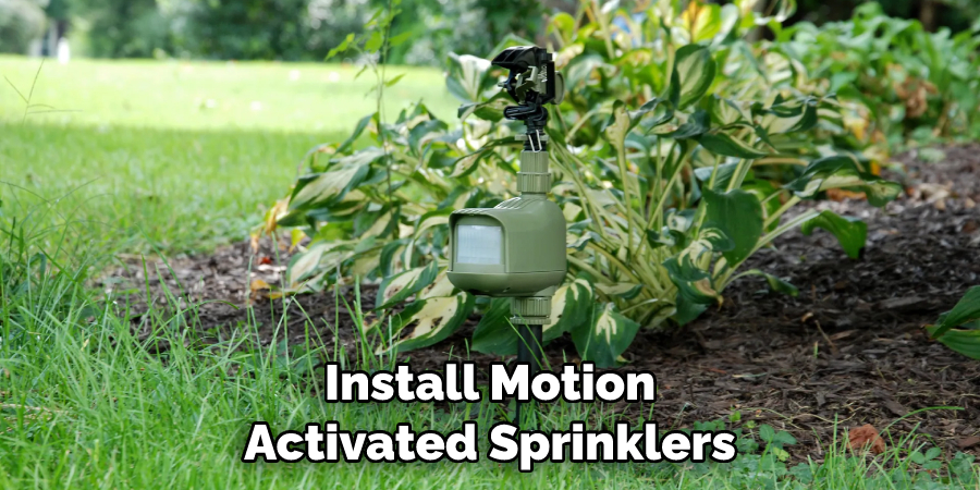 Install Motion Activated Sprinklers