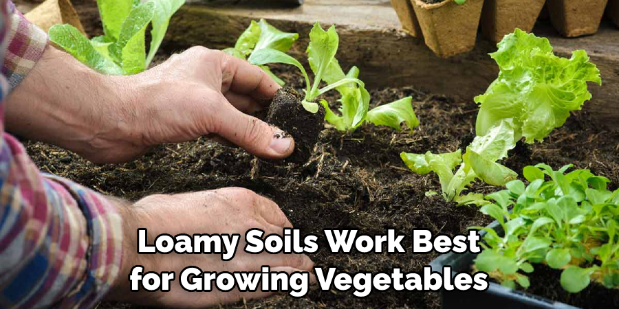 Loamy Soils Work Best for Growing Vegetables