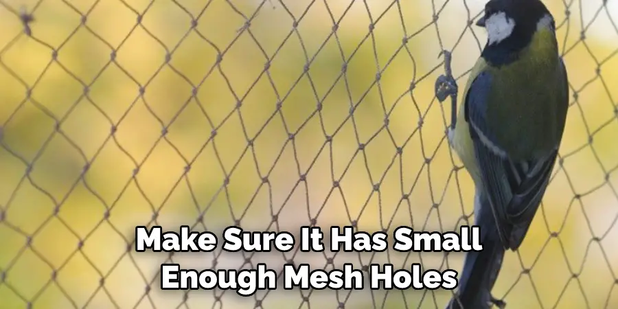 Make Sure It Has Small Enough Mesh Holes