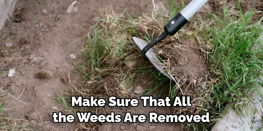 Make Sure That All the Weeds Are Removed