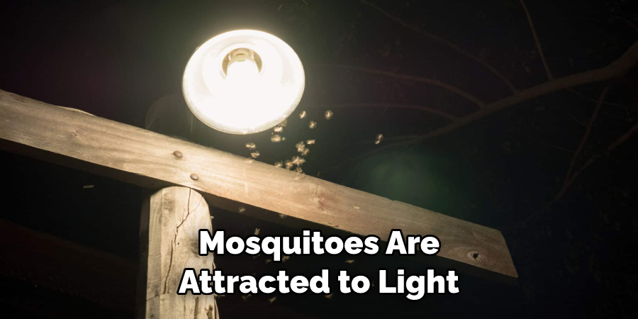 Mosquitoes Are Attracted to Light