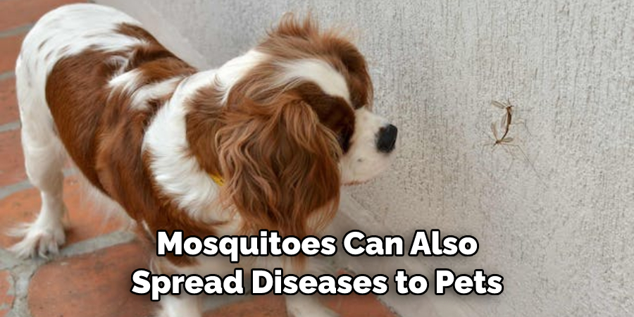 Mosquitoes Can Also Spread Diseases to Pets