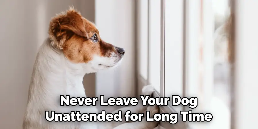 Never Leave Your Dog Unattended for Long Time