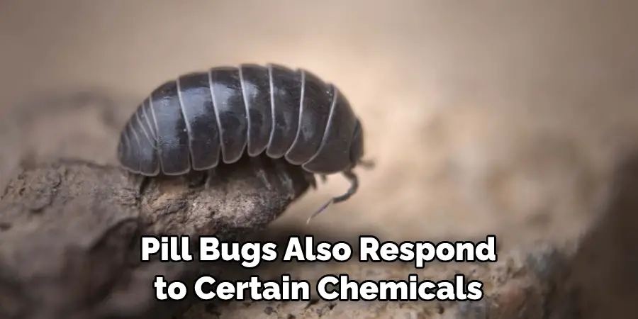 Pill Bugs Also Respond to Certain Chemicals