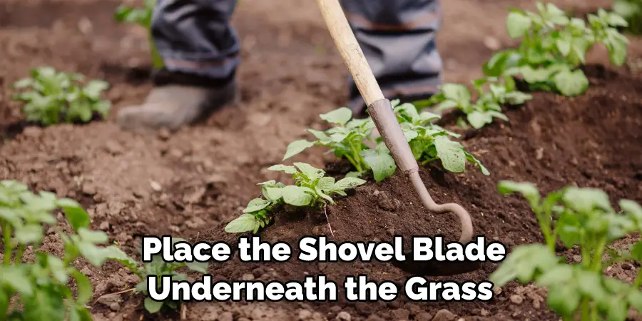 Place the Shovel Blade Underneath the Grass 
