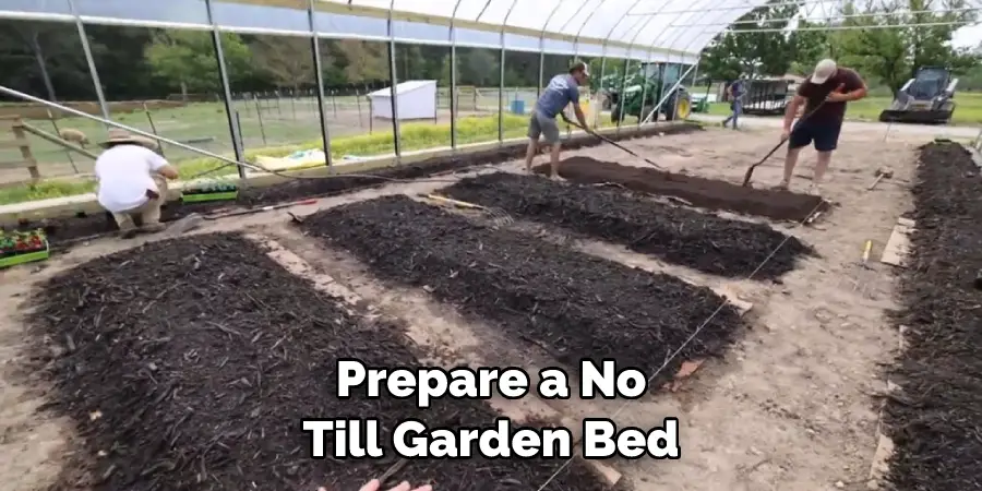 Prepare a No Till Garden Bed