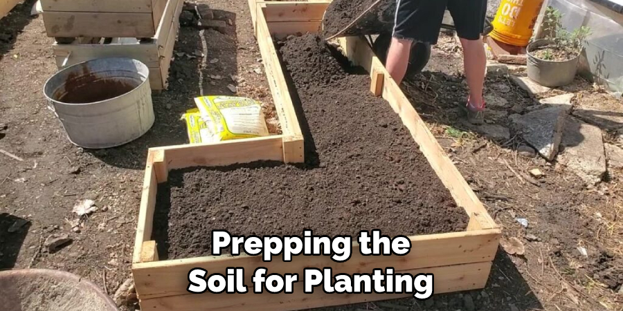 Prepping the Soil for Planting