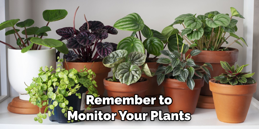 Remember to Monitor Your Plants