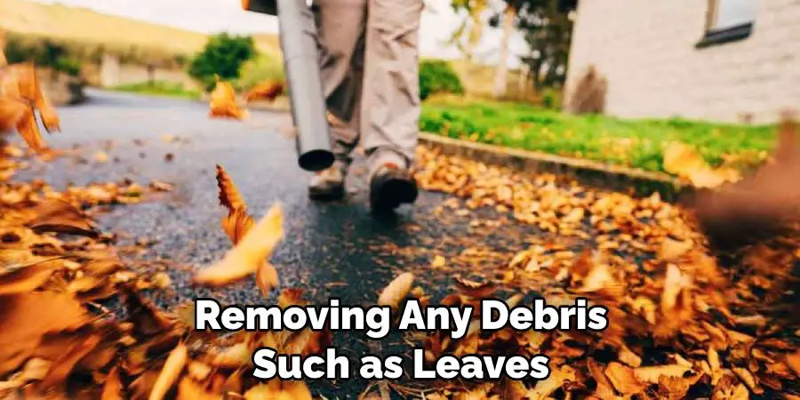 Removing Any Debris Such as Leaves