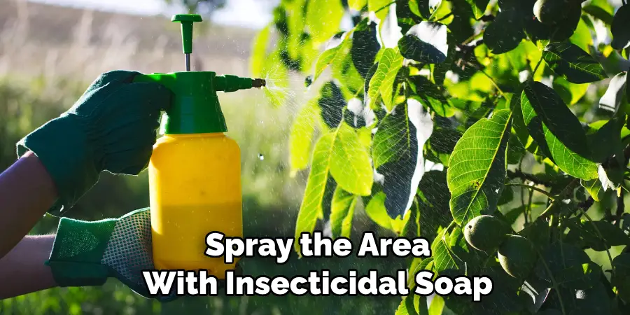 Spray the Area With Insecticidal Soap