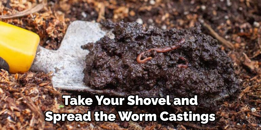 Take Your Shovel and Spread the Worm Castings