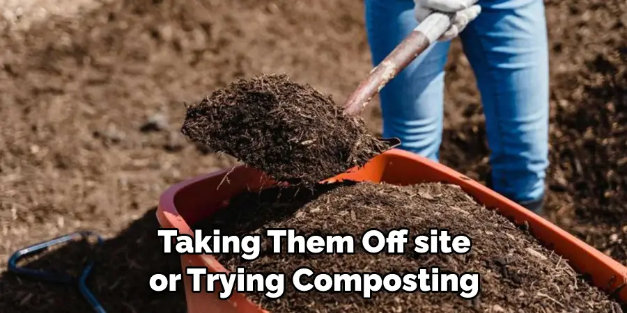 Taking Them Off site or Trying Composting