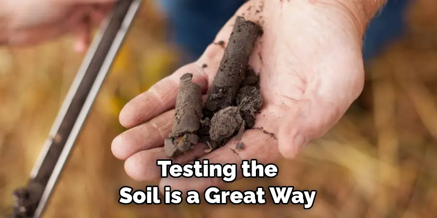 Testing the Soil is a Great Way