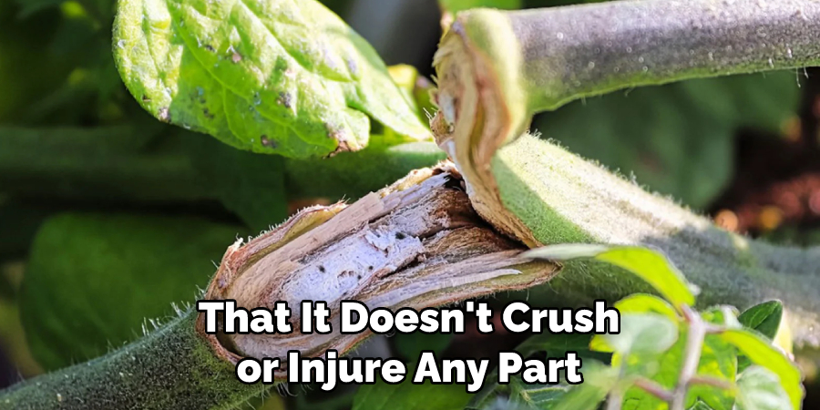 That It Doesn't Crush or Injure Any Part