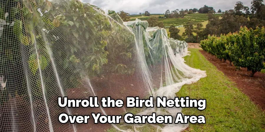 Unroll the Bird Netting Over Your Garden Area