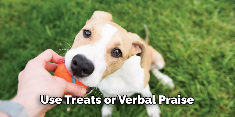 Use Treats or Verbal Praise