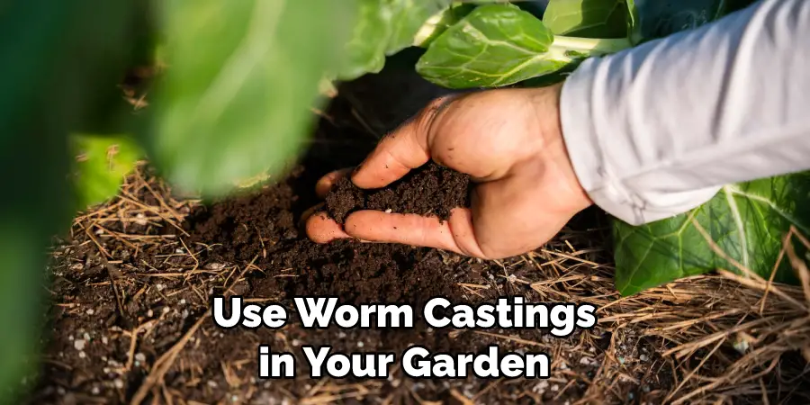 Use Worm Castings in Your Garden