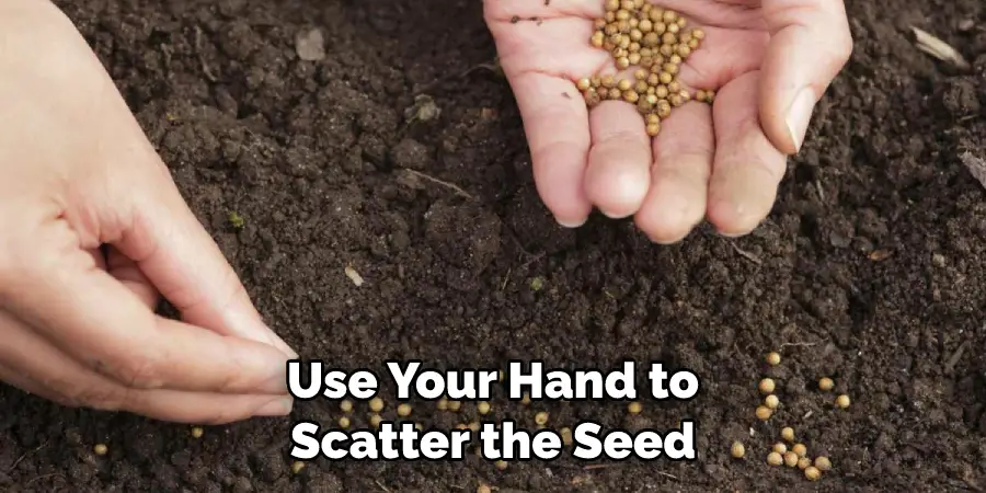 Use Your Hand to Scatter the Seed