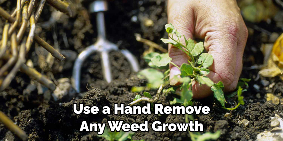 Use a Hand Remove Any Weed Growth