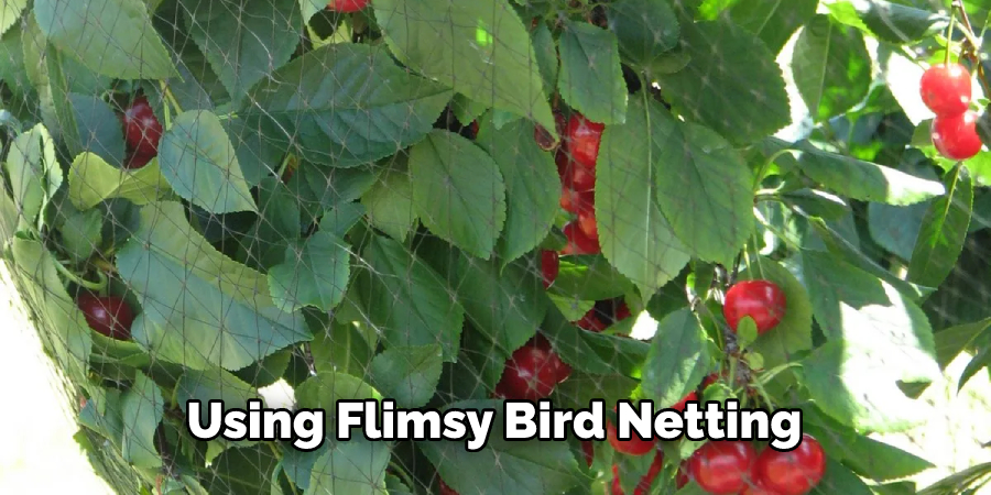 Using Flimsy Bird Netting 